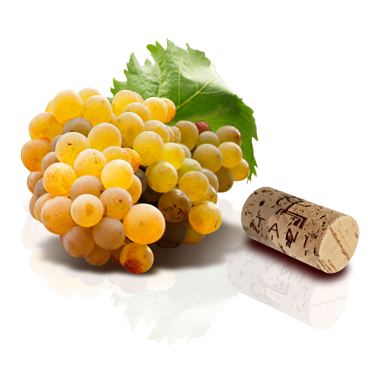 https://www.agriturismoilvermentino.it/wp-content/uploads/2020/11/01-UVA-VIGNETI-TANI-VINI-TAERRA-VERMENTINO-GALLURA-DOCG-MONTI-ITALIA-SARDEGNA.jpg